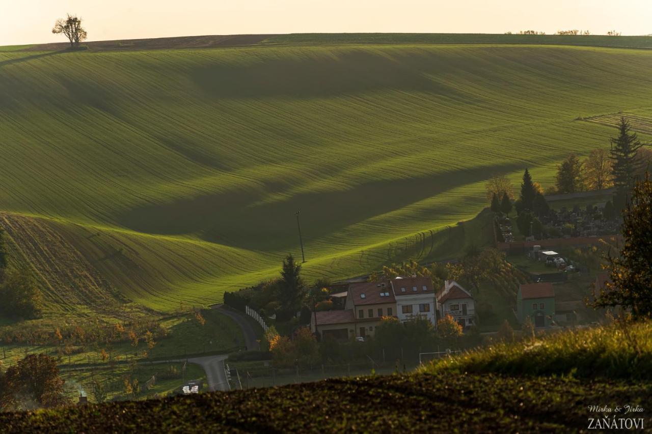 Penzion U Bustiku Sardice エクステリア 写真